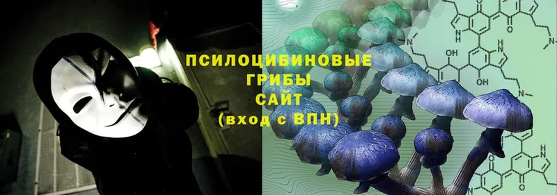 Галлюциногенные грибы Cubensis  Сертолово 